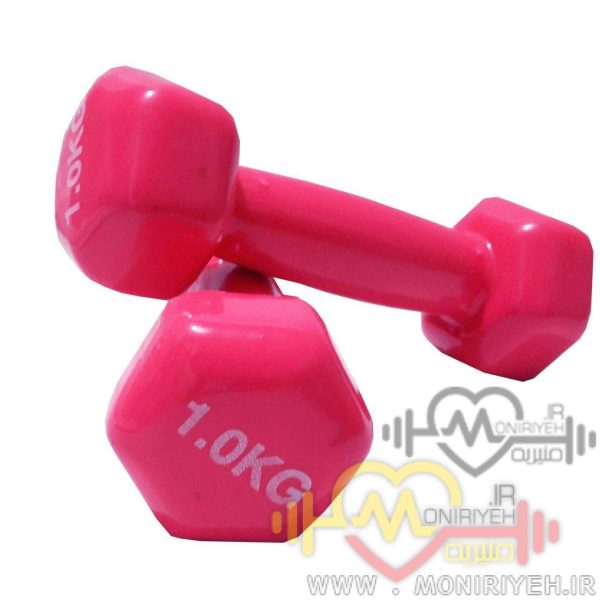 دمبل شش ضلعی 1kg Record