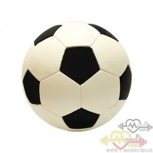 توپ فوتبال چهل تیکه مدل MNR-40
