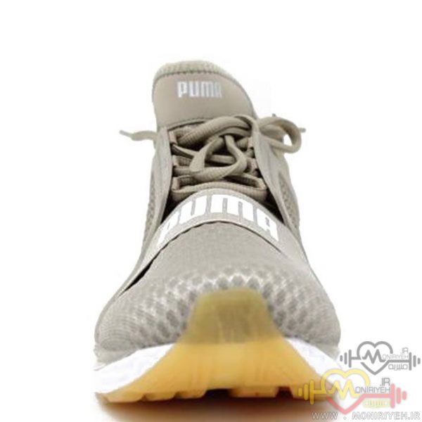 moniriyeh.ir Mens Puma Shoes for the IGNITE 1 2
