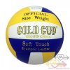 Volleyball Ball AGCV18 Gold Cup