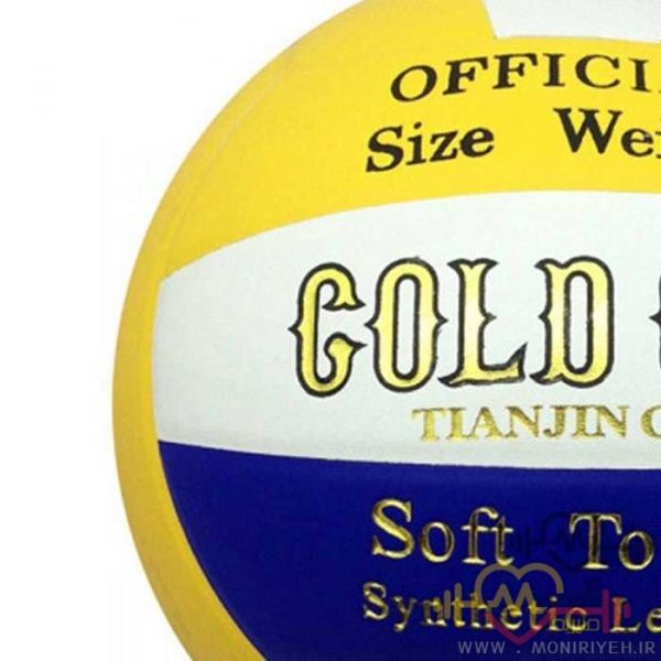 Volleyball Ball AGCV18 Gold Cup .