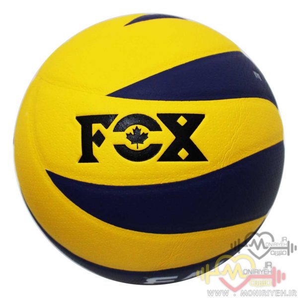 Volleyball Fox Club France
