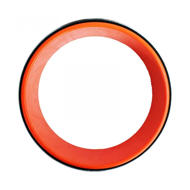 رینگ یوگا yoga wheel