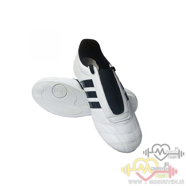 Adidas Taekwondo Shoe
