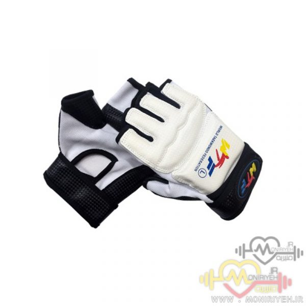 Taekwondo Gloves WTF Design