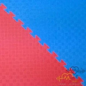 تشک تاتامی – شی هاپ جانگ