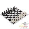 Chess Federation of Omid Model Xchess