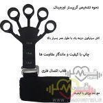 حلقه تقویت مچ