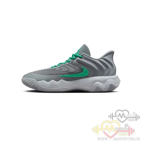 کفش بسکتبال نایک Giannis Immortality 4-طوسی