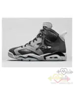 کفش بسکتبال نایک  AIR JORDAN 6 RETRO