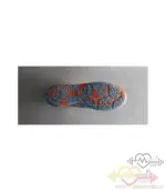 کفش کشتی اسیکس مدل Wrestling-نارنجی