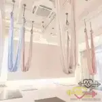 هموک آریال Ariel Yoga Hammock