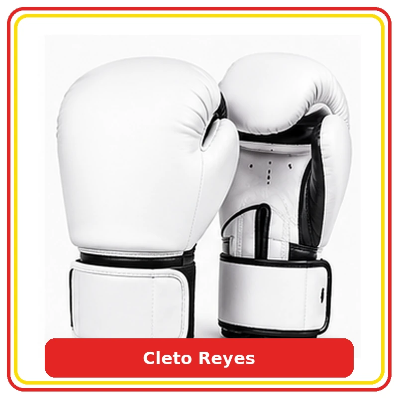 دستکش بوکس و MMA برند Cleto Reyes