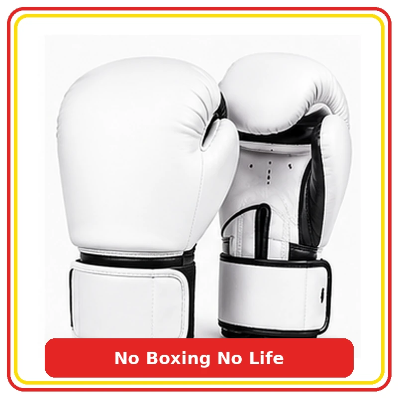 دستکش بوکس و MMA برند No Boxing No Life